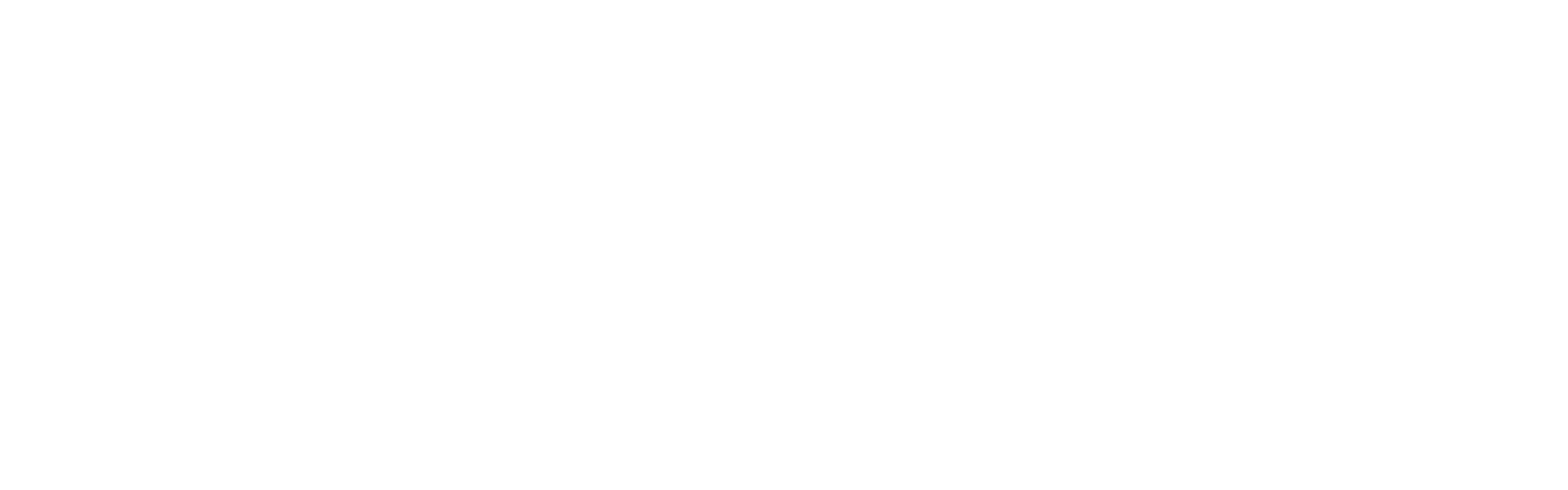 BitSport Logo